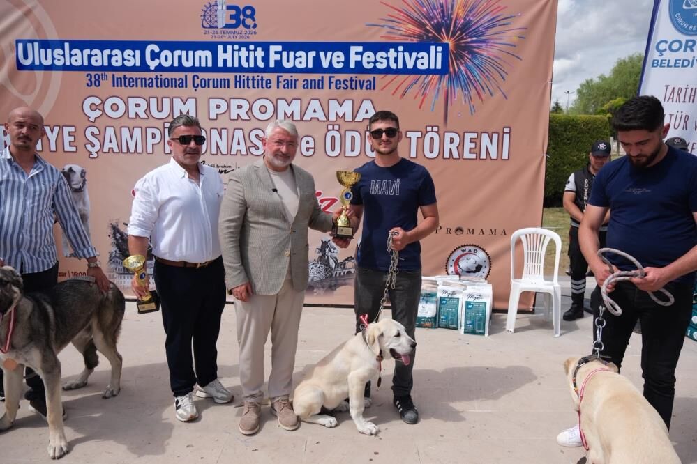 Samsun Haber. Samsunlu yetiştiriciler Türk çoban köpeklerini tanıttı