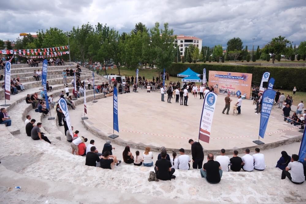 Samsun Haber. Samsunlu yetiştiriciler Türk çoban köpeklerini tanıttı