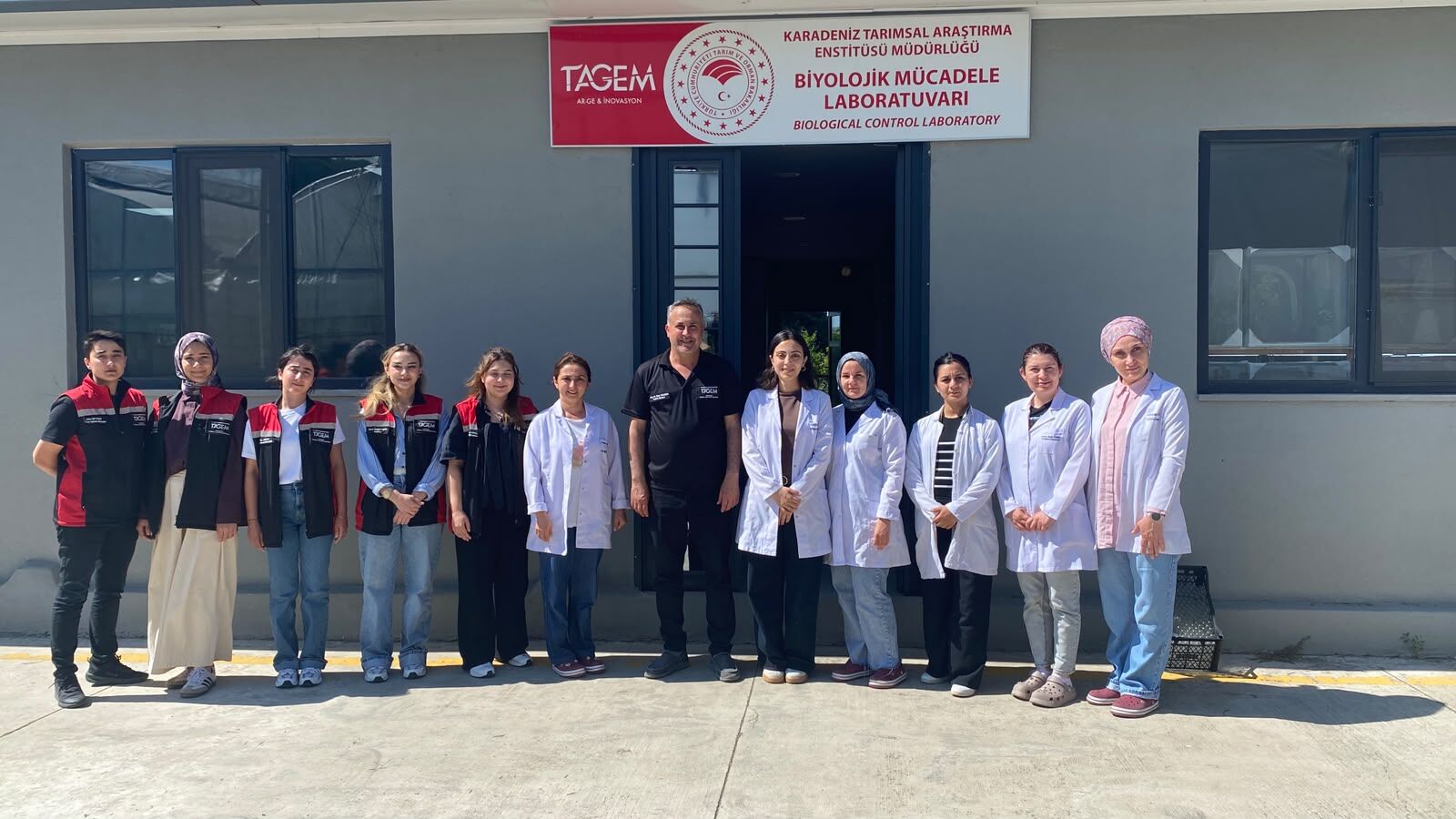 samsun haber. Fındığı kurtaracak gizli kahraman! Samsun'da bu laboratuvarda üretiliyor