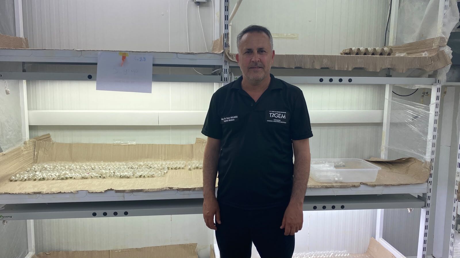 samsun haber. Fındığı kurtaracak gizli kahraman! Samsun'da bu laboratuvarda üretiliyor