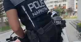 Samsun Haber: Samsun dahil 71 ilde dev operasyon! 807 kişi tutuklandı