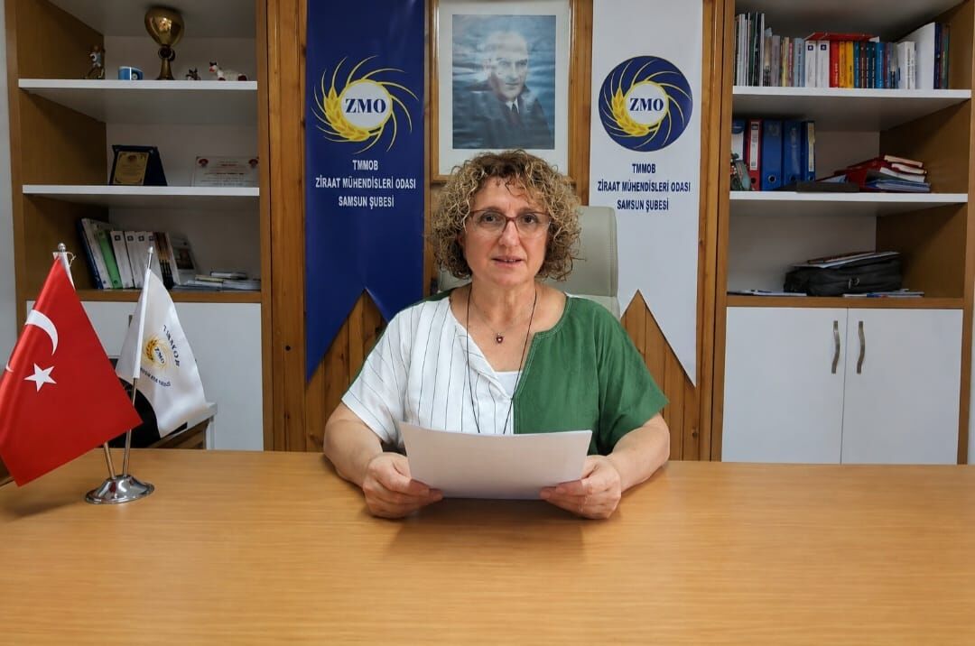 samsun haber: Samsun'da Havva Yurdunuseven Bayzat'dan fındık fiyatlarına tepki