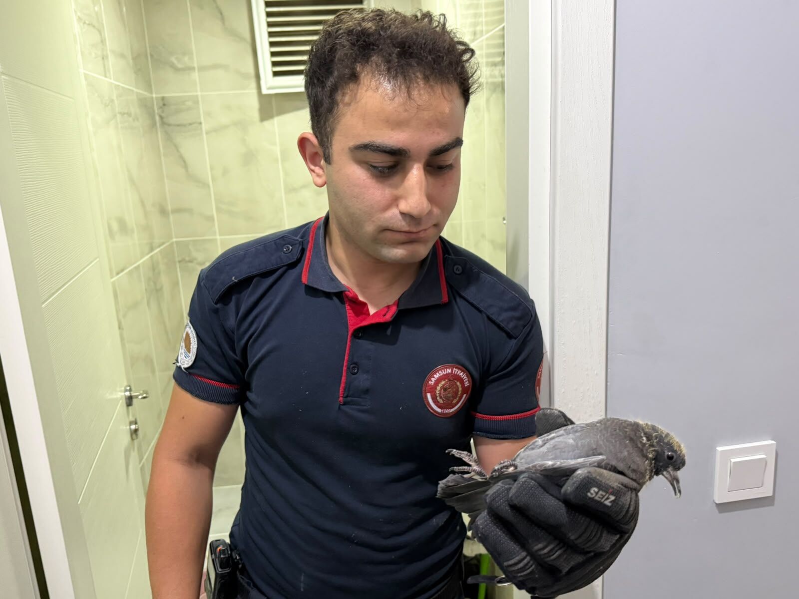Samsun Haber: Samsun'da yavru güvercini itfaiye kurtardı