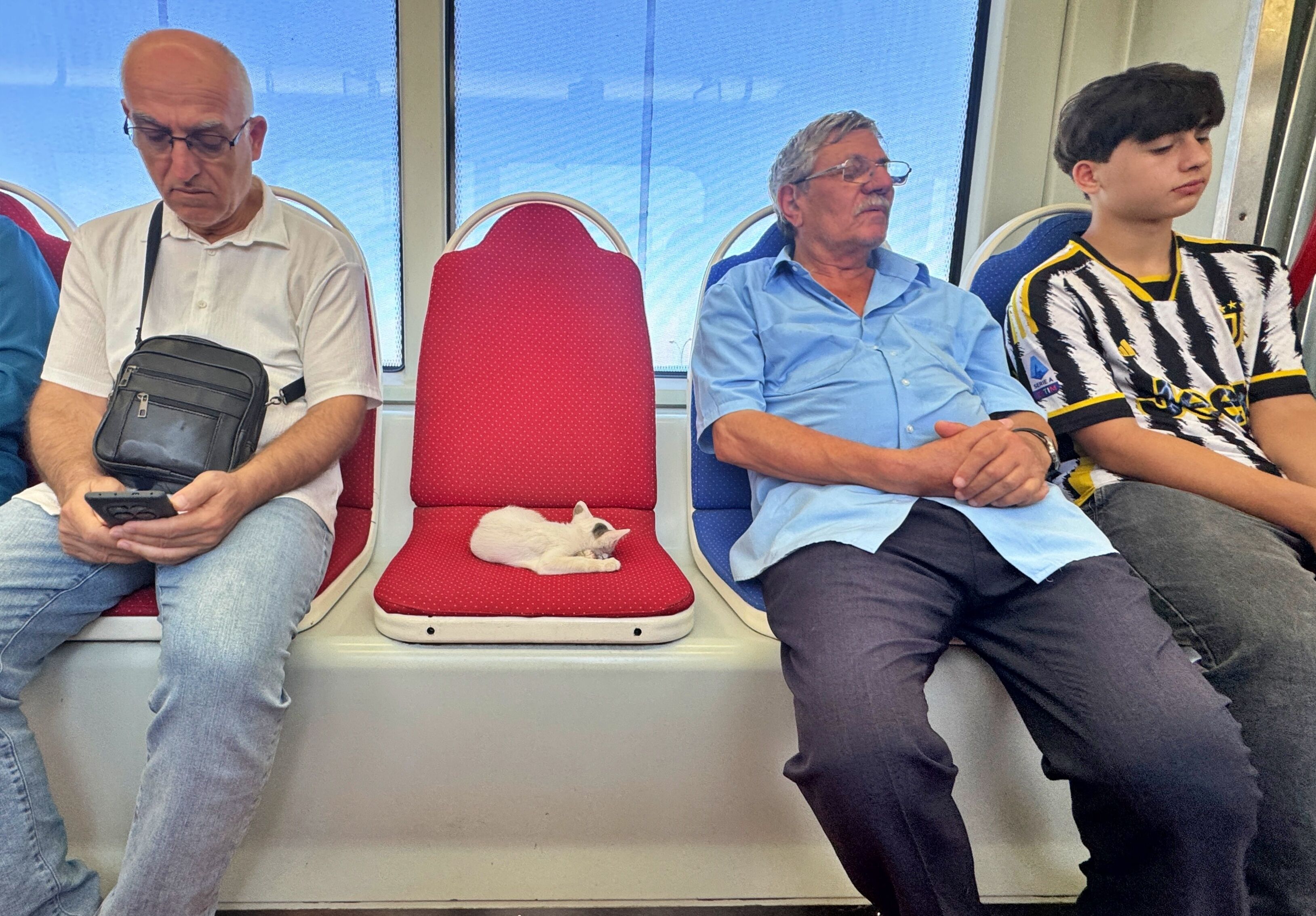 Samsun Haber: Samsun’da tramvayın en sevimli yolcusu