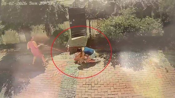 samsun haber: Samsun'da pitbull dehşeti! Küçük kız kabusu yaşadı