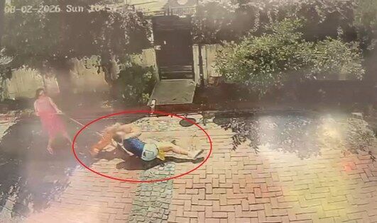 samsun haber: Samsun'da pitbull dehşeti! Küçük kız kabusu yaşadı