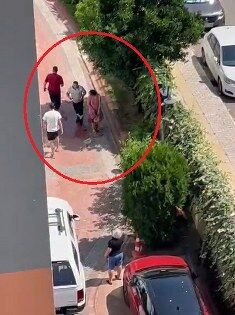 samsun haber: Samsun'da pitbull dehşeti! Küçük kız kabusu yaşadı