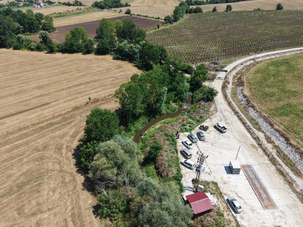 samsun haber: Samsun'daki balık ölümlerinin faturası ağır oldu! Rekor ceza