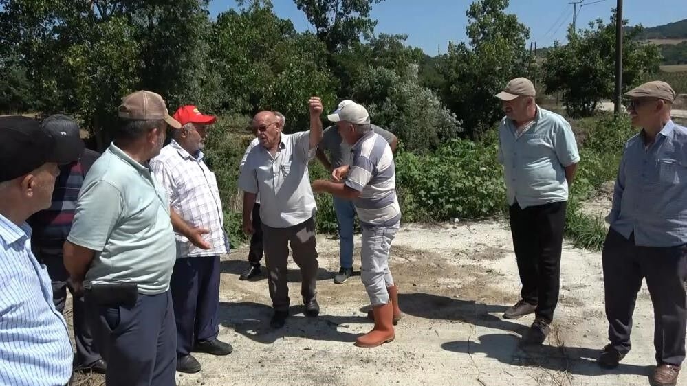 samsun haber: Samsun'daki balık ölümlerinin faturası ağır oldu! Rekor ceza