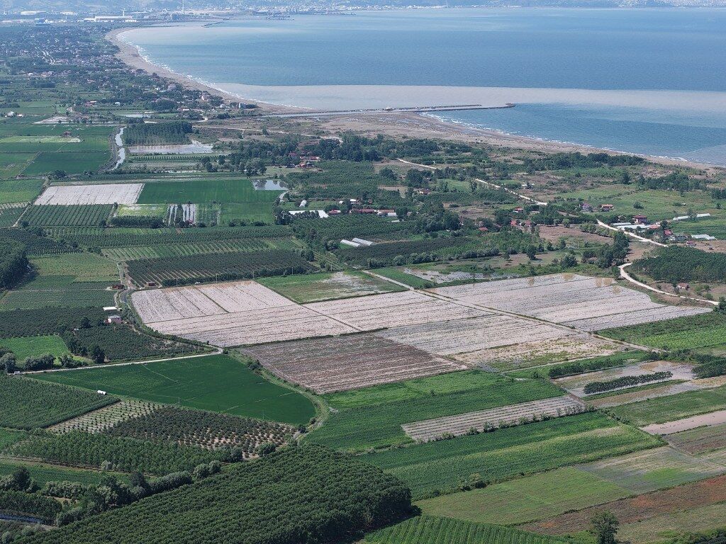 SAMSUN HABER Çarşamba'yı sel aldı: Tarım alanları ve evler sular altında kaldı