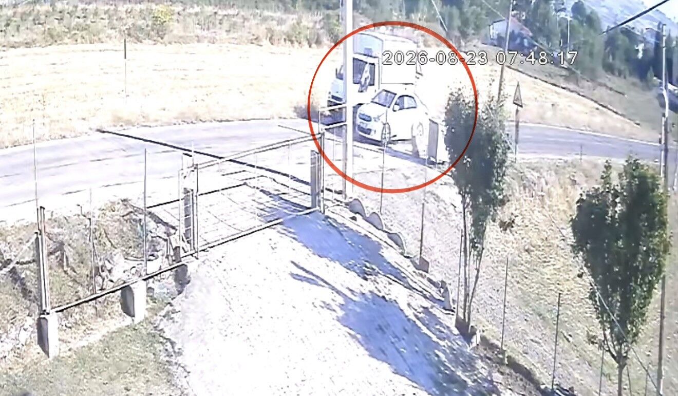 samsun haber: Samsun’da otomobilin çarptığı sokak köpeği telef oldu! O anlar kamerada