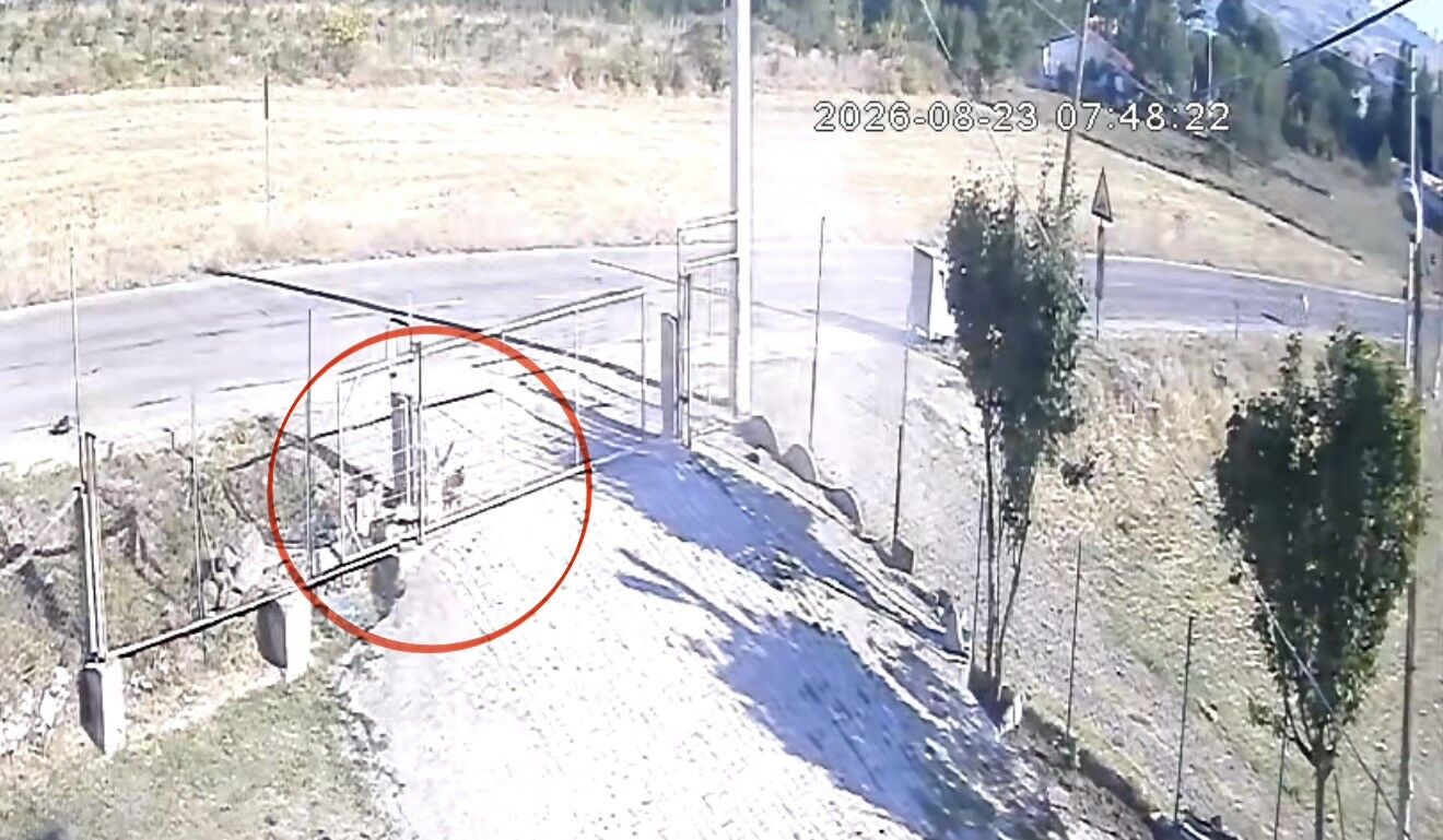 samsun haber: Samsun’da otomobilin çarptığı sokak köpeği telef oldu! O anlar kamerada