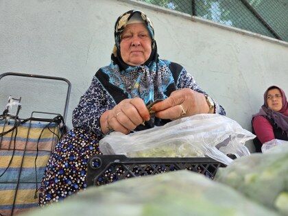 samsun haber: Boyu küçüldükçe fiyatı artıyor! Samsun'da ilginç fiyat dengesi