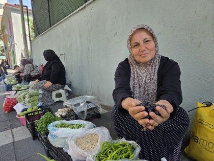 samsun haber: Boyu küçüldükçe fiyatı artıyor! Samsun'da ilginç fiyat dengesi