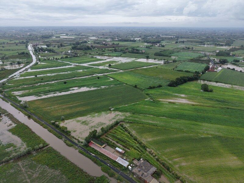 samsun haber: Çarşamba Ovası yine sular altında kaldı! 6 mahallede hayat felç