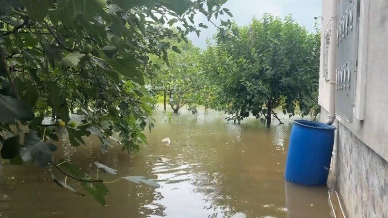 samsun haber: Çarşamba Ovası yine sular altında kaldı! 6 mahallede hayat felç
