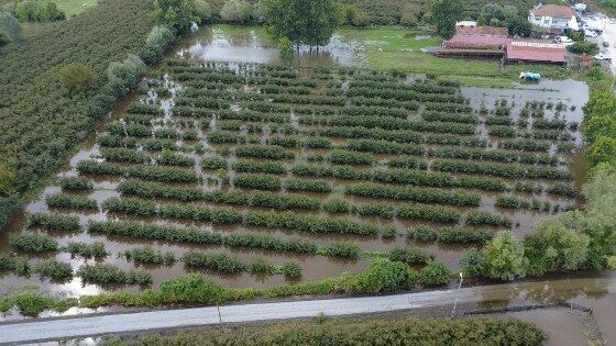 samsun haber: Samsun'da sel ikinci kez vurdu! 30 mahalle sular altında
