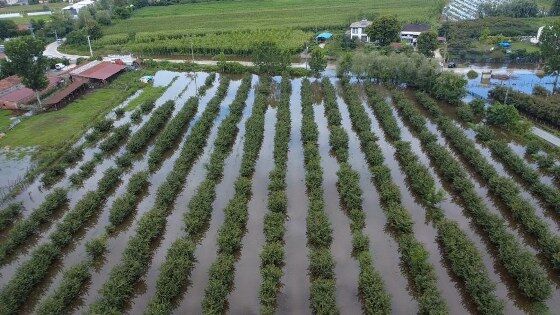 samsun haber: Samsun'da sel ikinci kez vurdu! 30 mahalle sular altında
