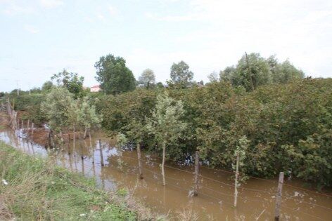 samsun haber: Samsun'da sel ikinci kez vurdu! 30 mahalle sular altında