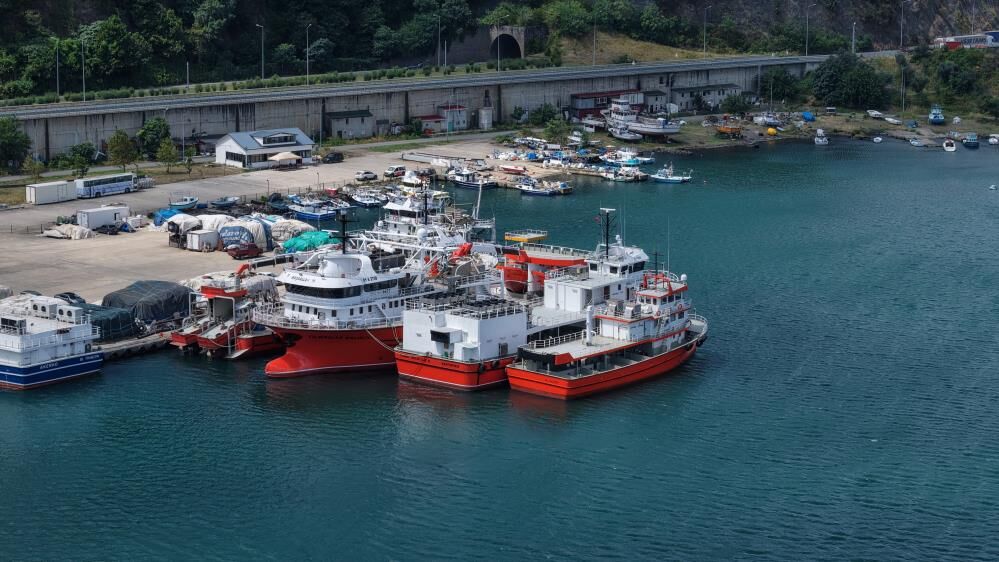 Samsun Haber: Samsun açıklarından güzel haber! Tezgâhlar palamuda doyabilir