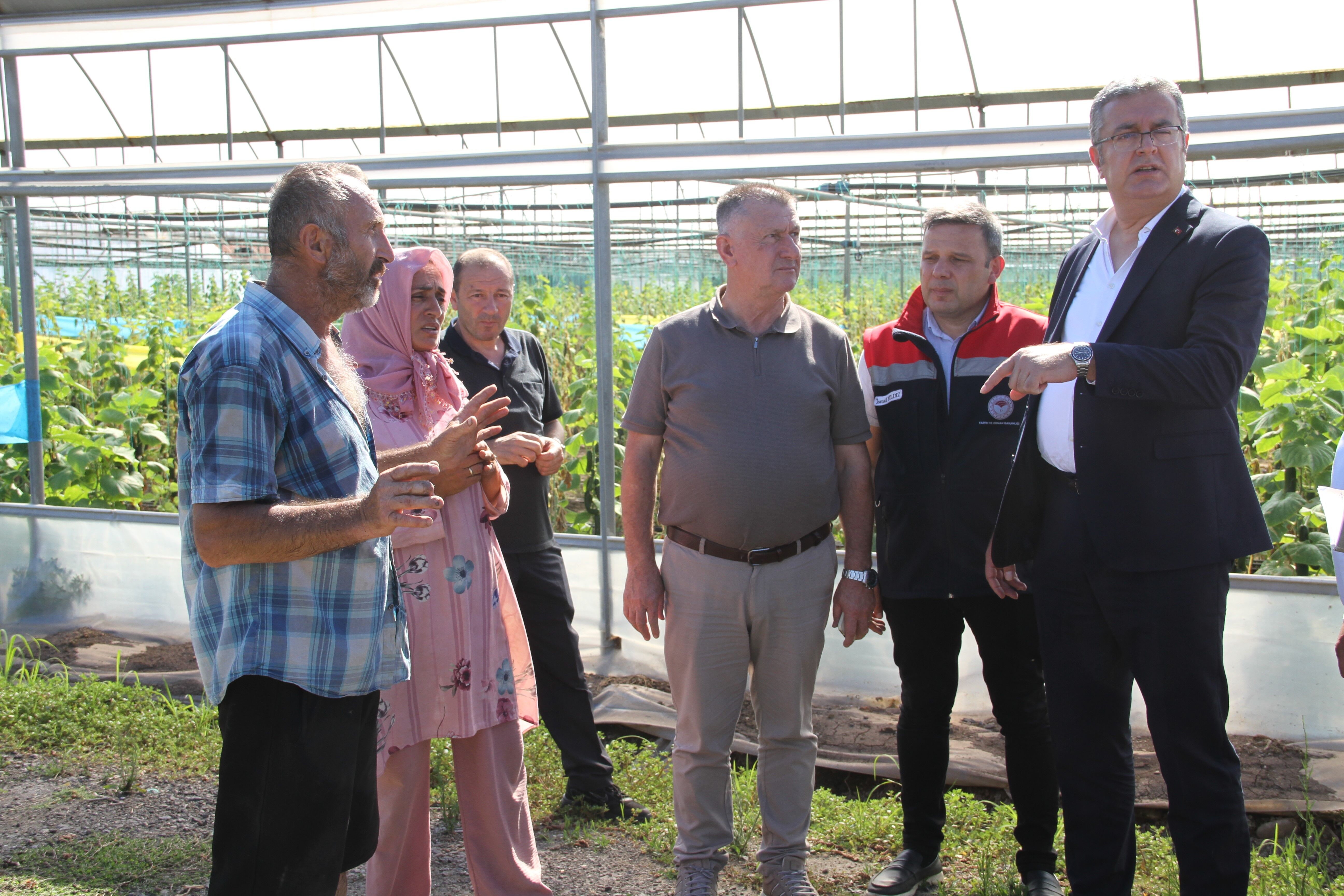 Samsun Haber: Çarşamba Ovası’nda sağanak 5 bin dekar araziye zarar verdi
