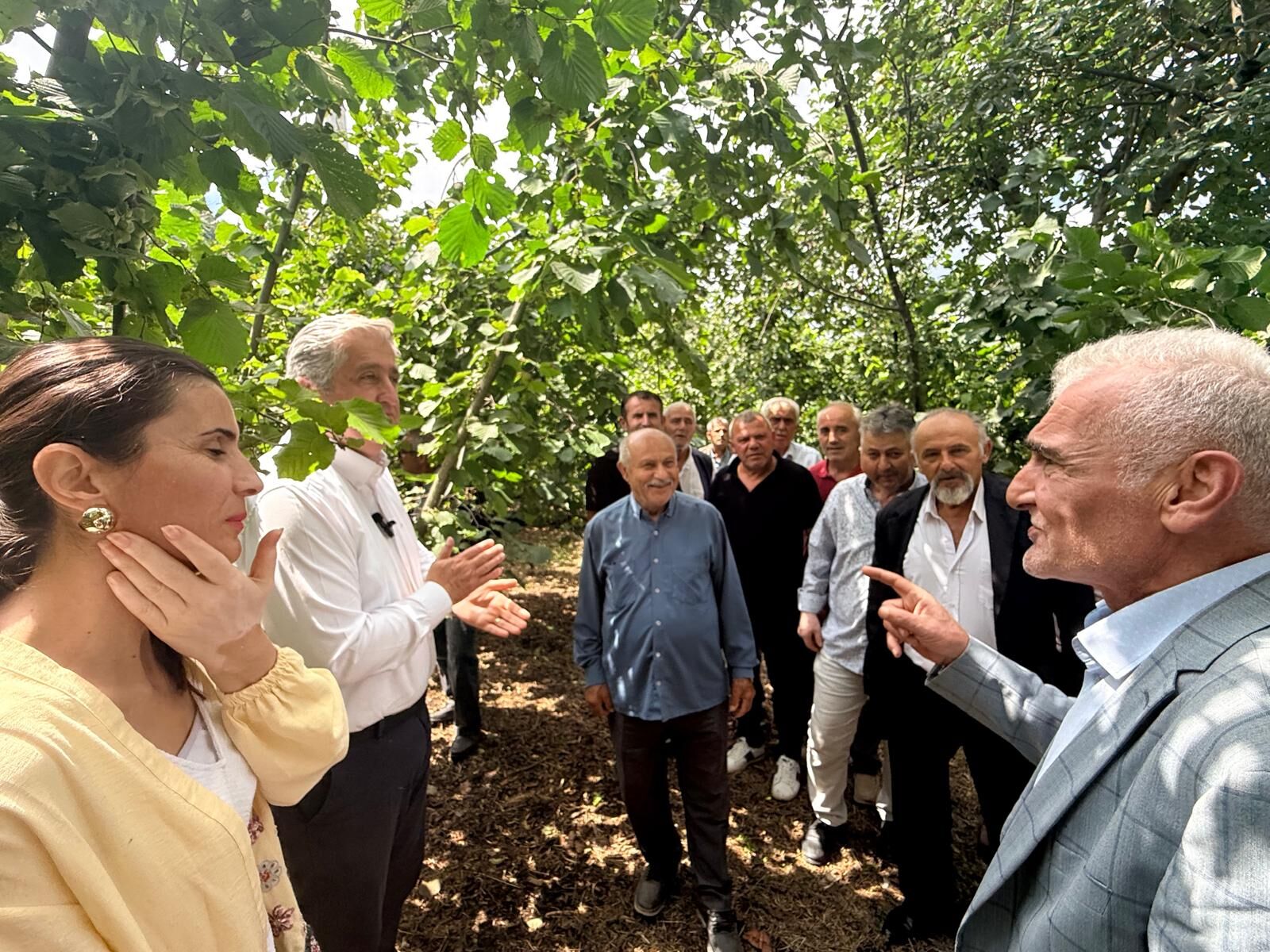 Samsun Haber: Dr. Murat Çan Ayvacık’ta fındık sorunlarını gündeme getirdi