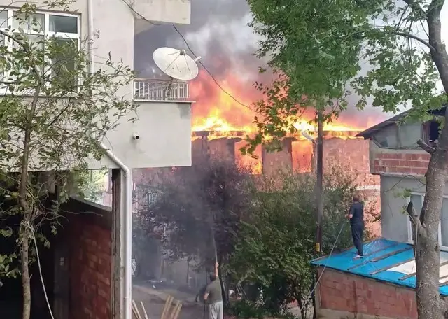 Karadeniz'de büyük zarar! 1 ton fındık küle döndü