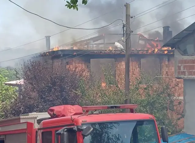 Karadeniz'de büyük zarar! 1 ton fındık küle döndü