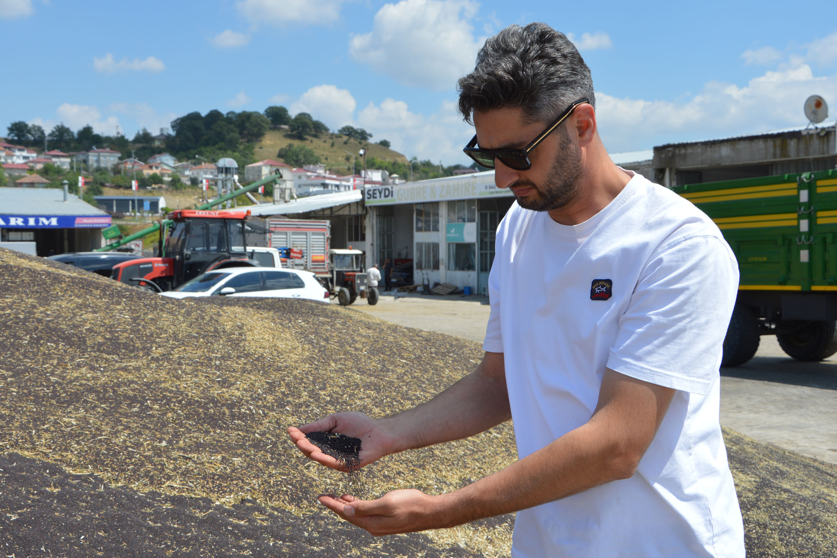 Samsun Haber: Havza'da kanola hasadı tamamlandı! Rekolte 17 bin ton