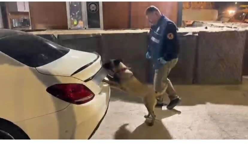 Samsun Haber: Samsun’da şüpheli valiz! Narkotik köpeği Şila ortaya çıkardı