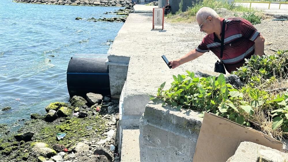 Samsun Haber: Samsun sahilinde ilginç görüntü! Karpuz ziyafeti yaptı