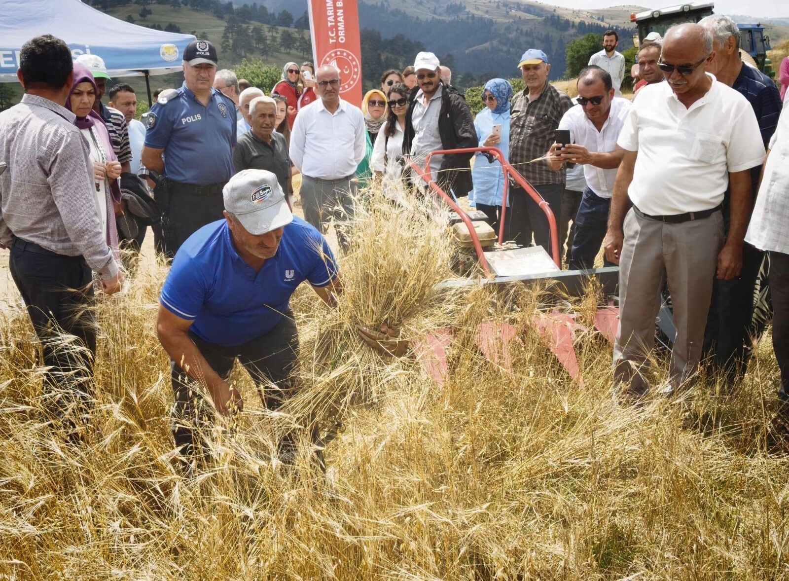 Samsun Haber. Samsun'da ata tohumu geleceğe taşınıyor