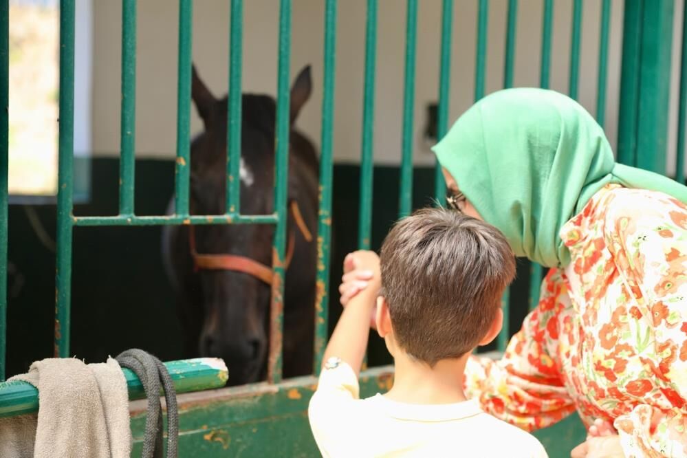 Samsun Haber: Samsun'da atlarla terapi: 413 çocuk yararlanıyor