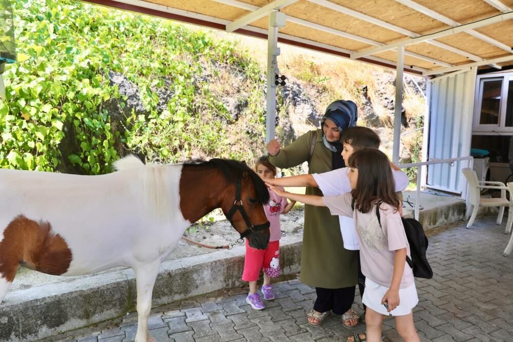 Samsun Haber: Samsun'da atlarla terapi: 413 çocuk yararlanıyor