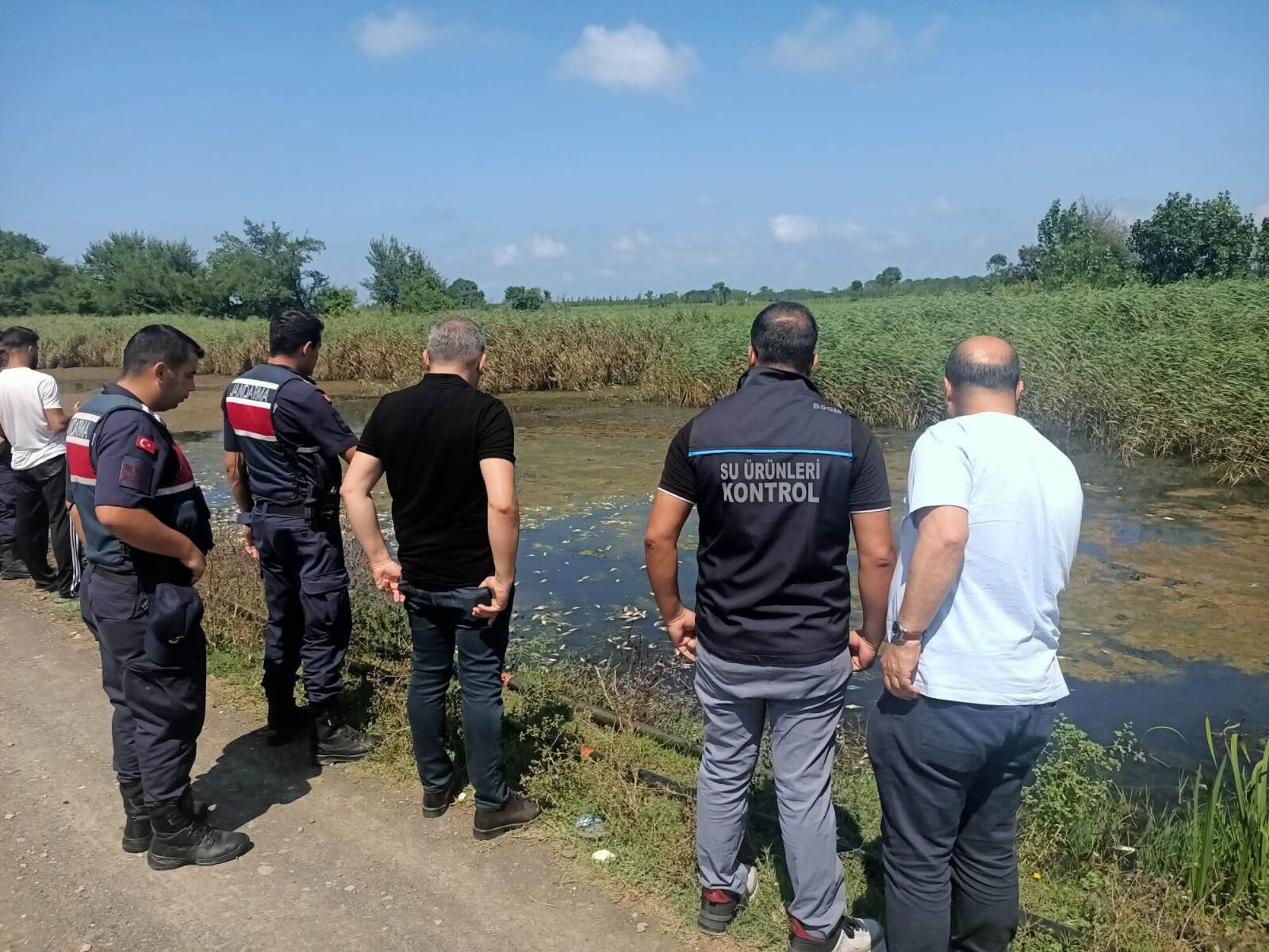 Samsun Haber: Samsun'da ekipleri harekete geçiren balık ölümleri