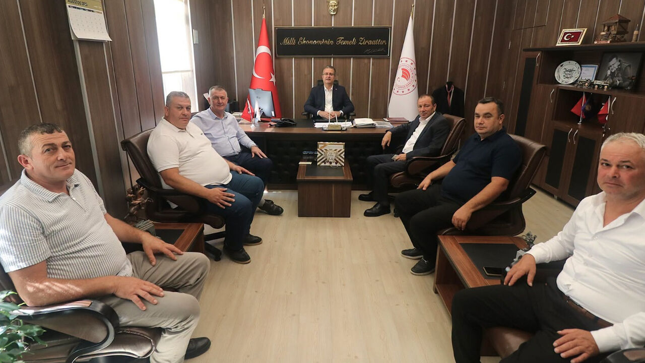 Samsun Haber: Samsun'da kivi hamlesi! Üretimin artırılması için görüşme