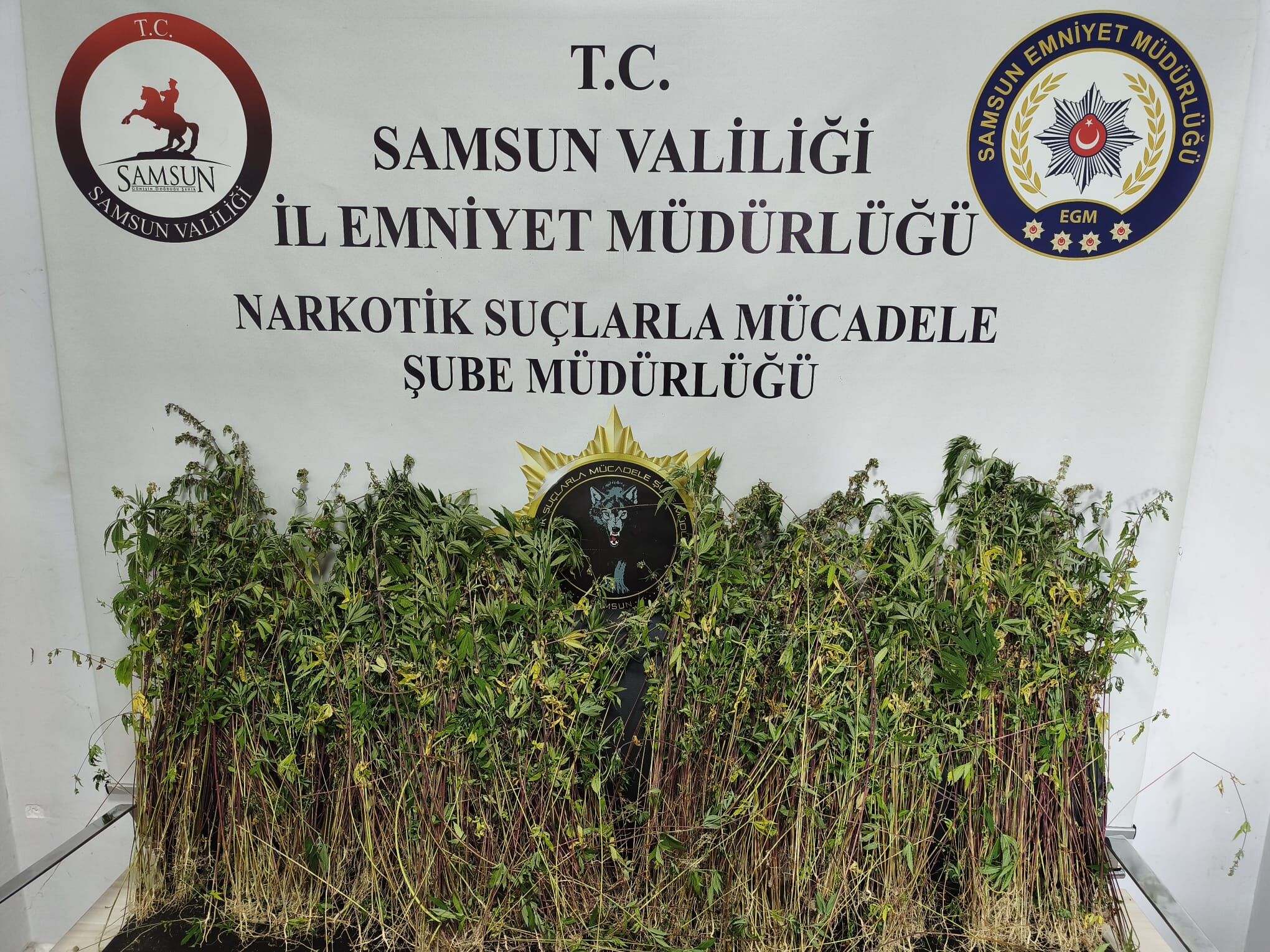 Samsun’da Peş Peşe Operasyon Atakum Ve Bafra’da Baskın