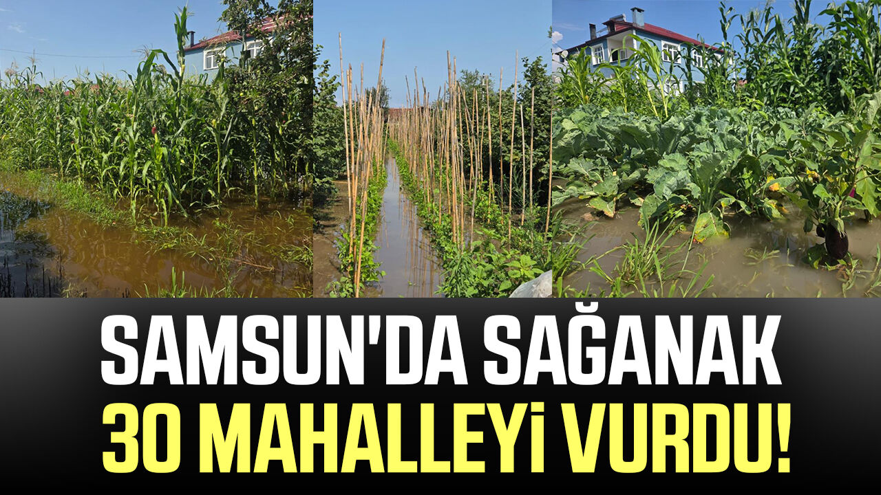 Samsun Haber: Samsun'da sağanak 30 mahalleyi vurdu!
