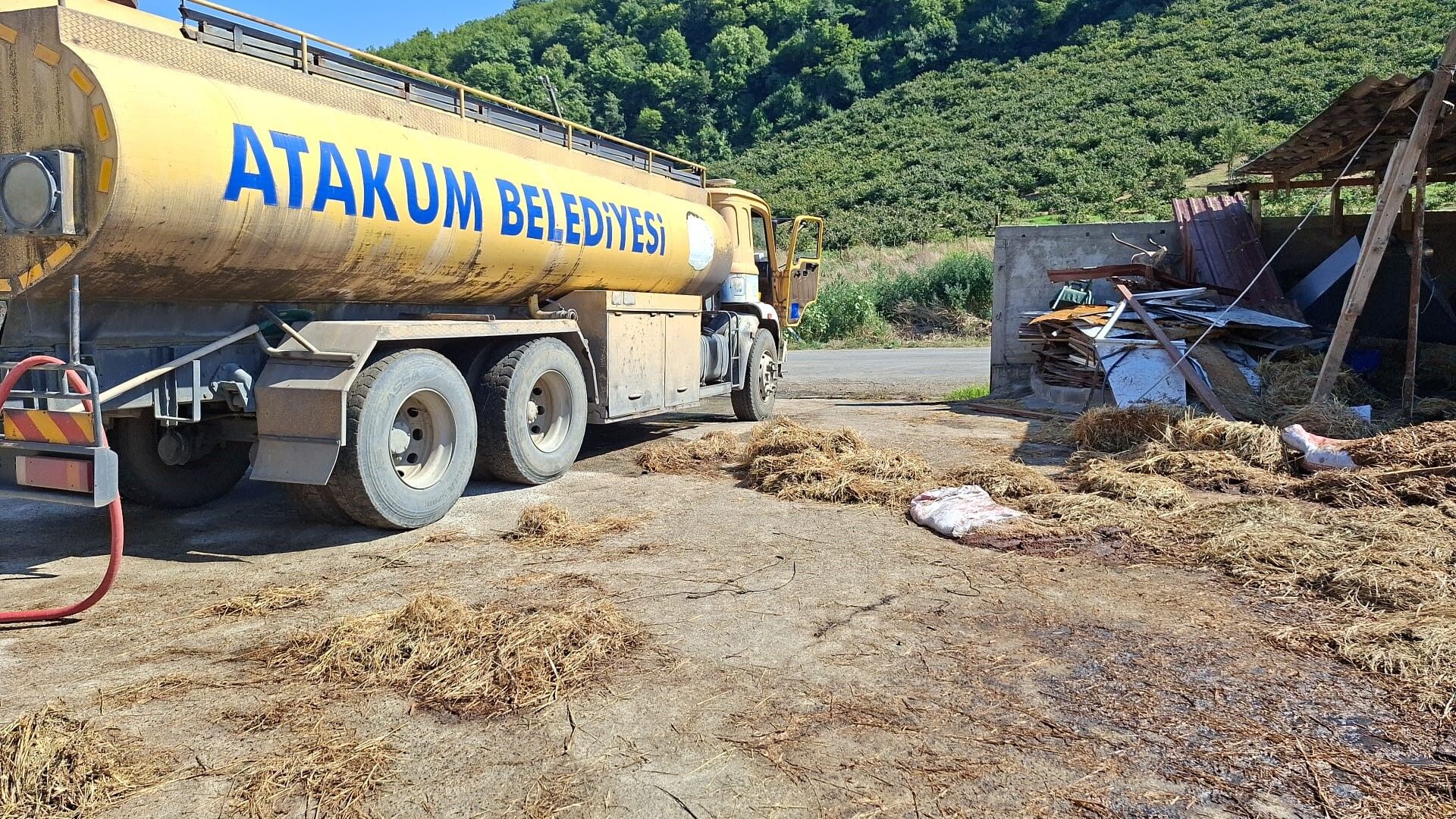 Samsun Haber: Samsun’da yangın dehşeti! 53 büyükbaş hayvan telef oldu