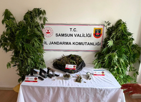 Samsun Haber: Samsun'da bahçeye jandarmadan zehir baskını! Cezaevine gönderildi