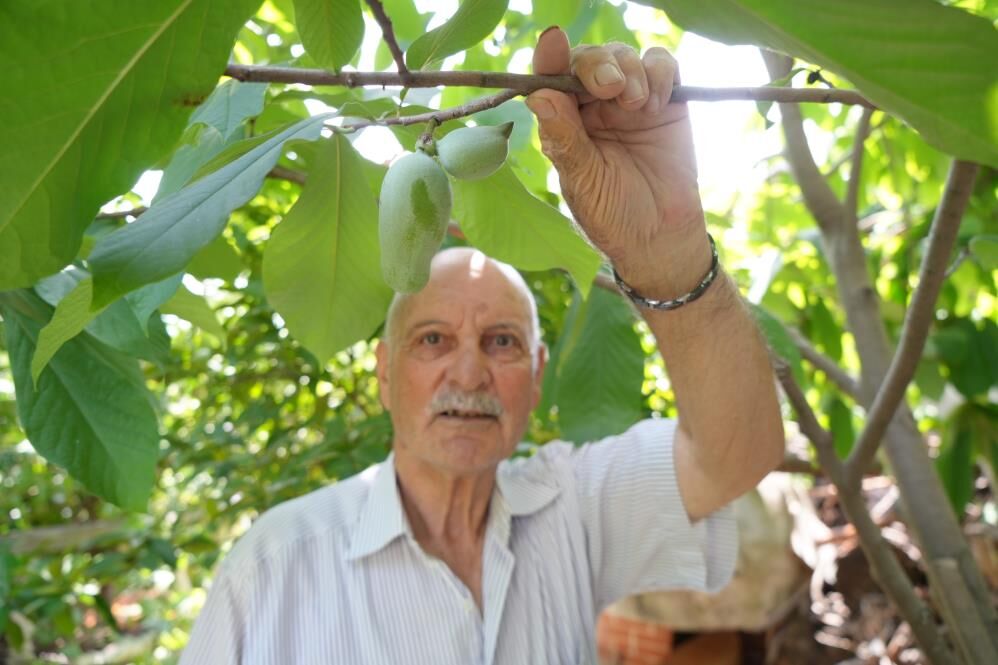 Samsun Haber. Samsun'da görenleri şaşırtan bahçe!