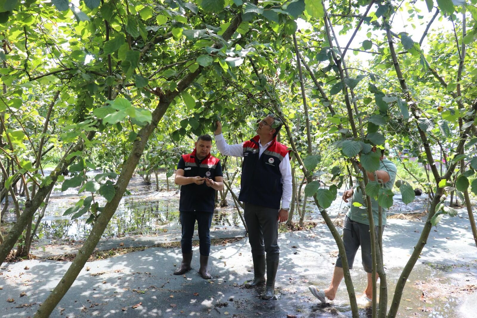 Samsun Haber: Çarşamba’da sel sonrası 30 mahallede hasar tespiti