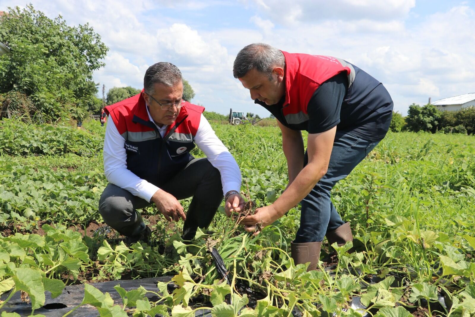 Samsun Haber: Çarşamba’da sel sonrası 30 mahallede hasar tespiti