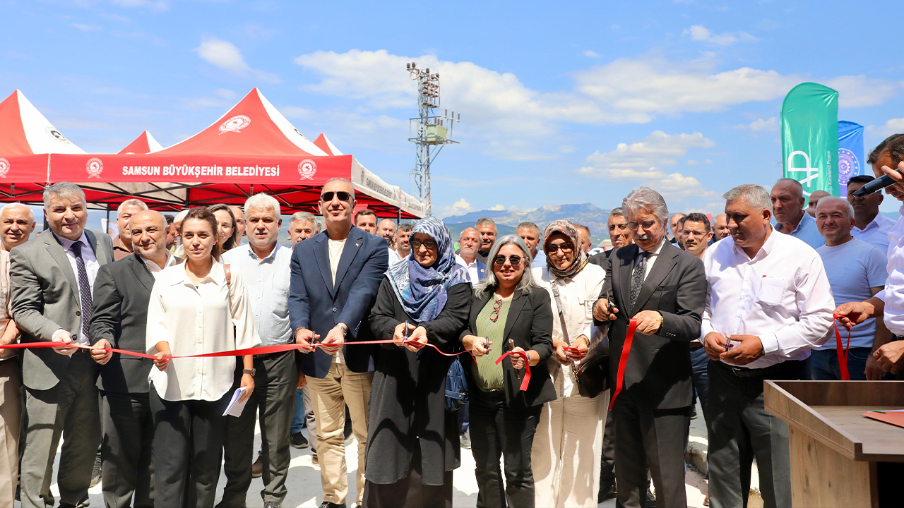 Samsun Haber: Vezirköprü’de buğday üreticisine yeni destek