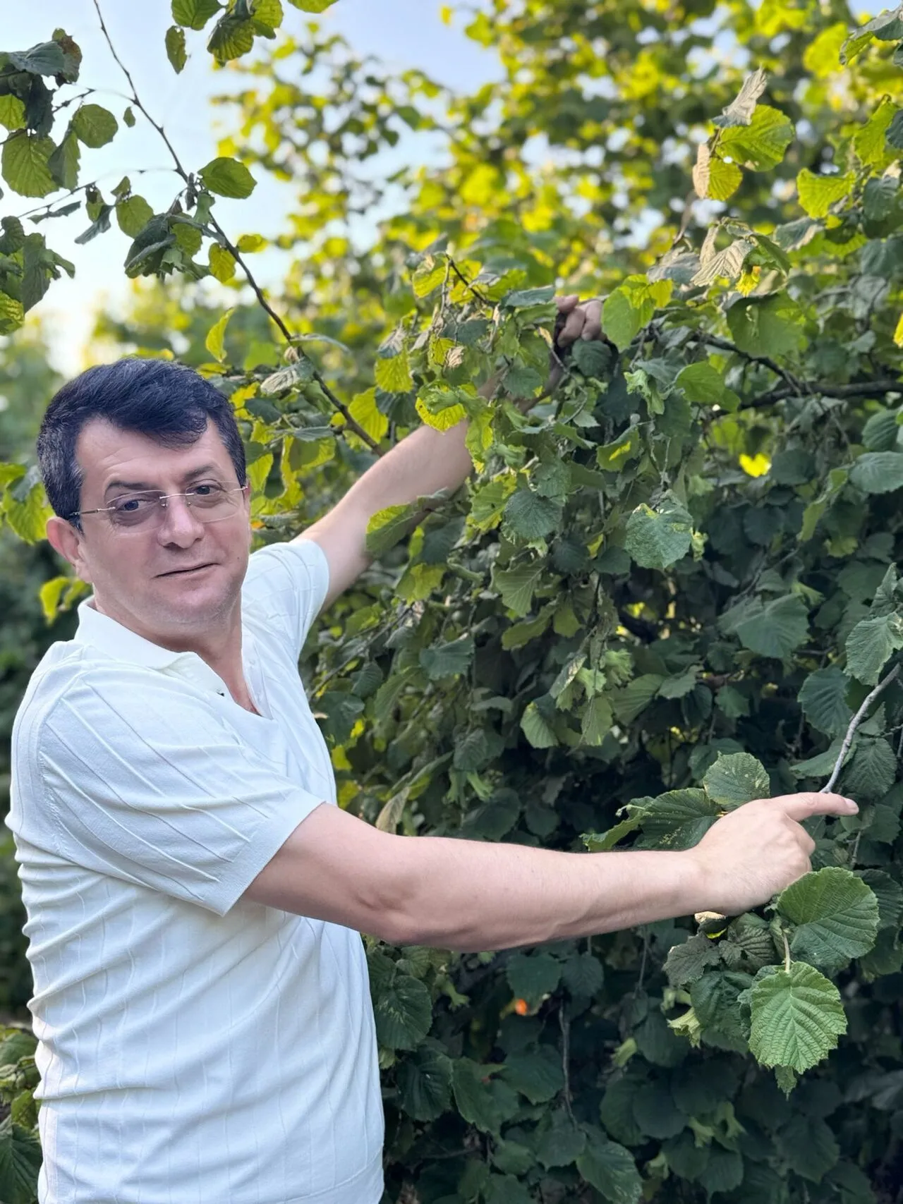 samsun haber : Terme Ziraat Odası Başkanı Ferda Ergün'den fındık fiyatı tepkisi