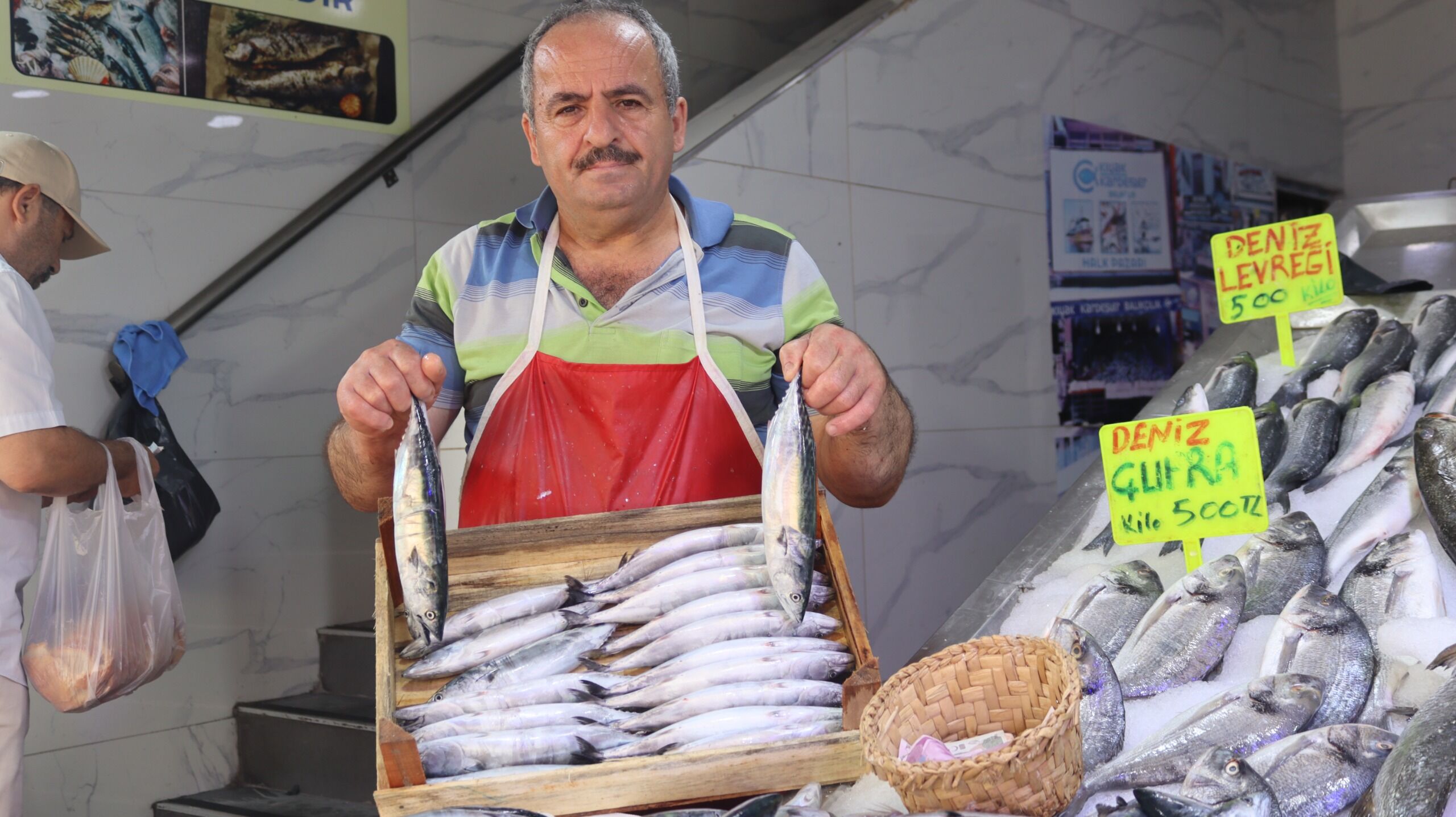 samsun haber: Samsun’da palamut sezonu başladı: Fiyatı 80 liraya kadar düştü!