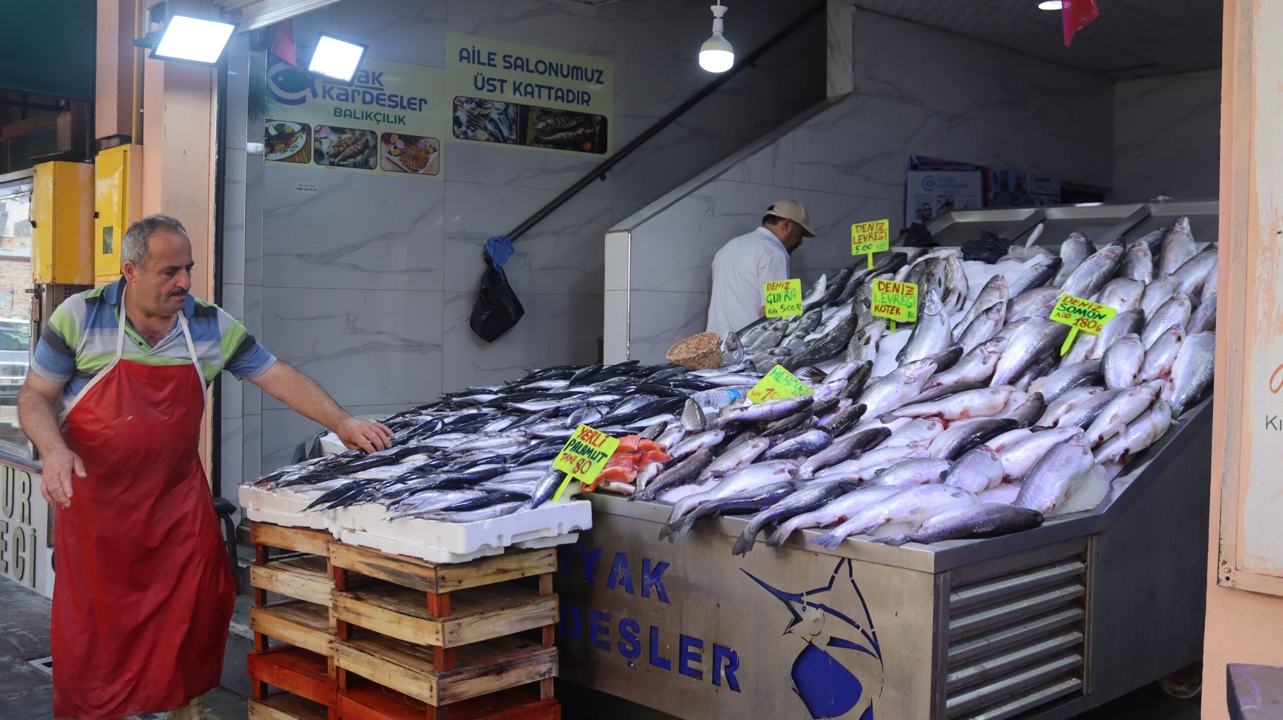 samsun haber: Samsun’da palamut sezonu başladı: Fiyatı 80 liraya kadar düştü!