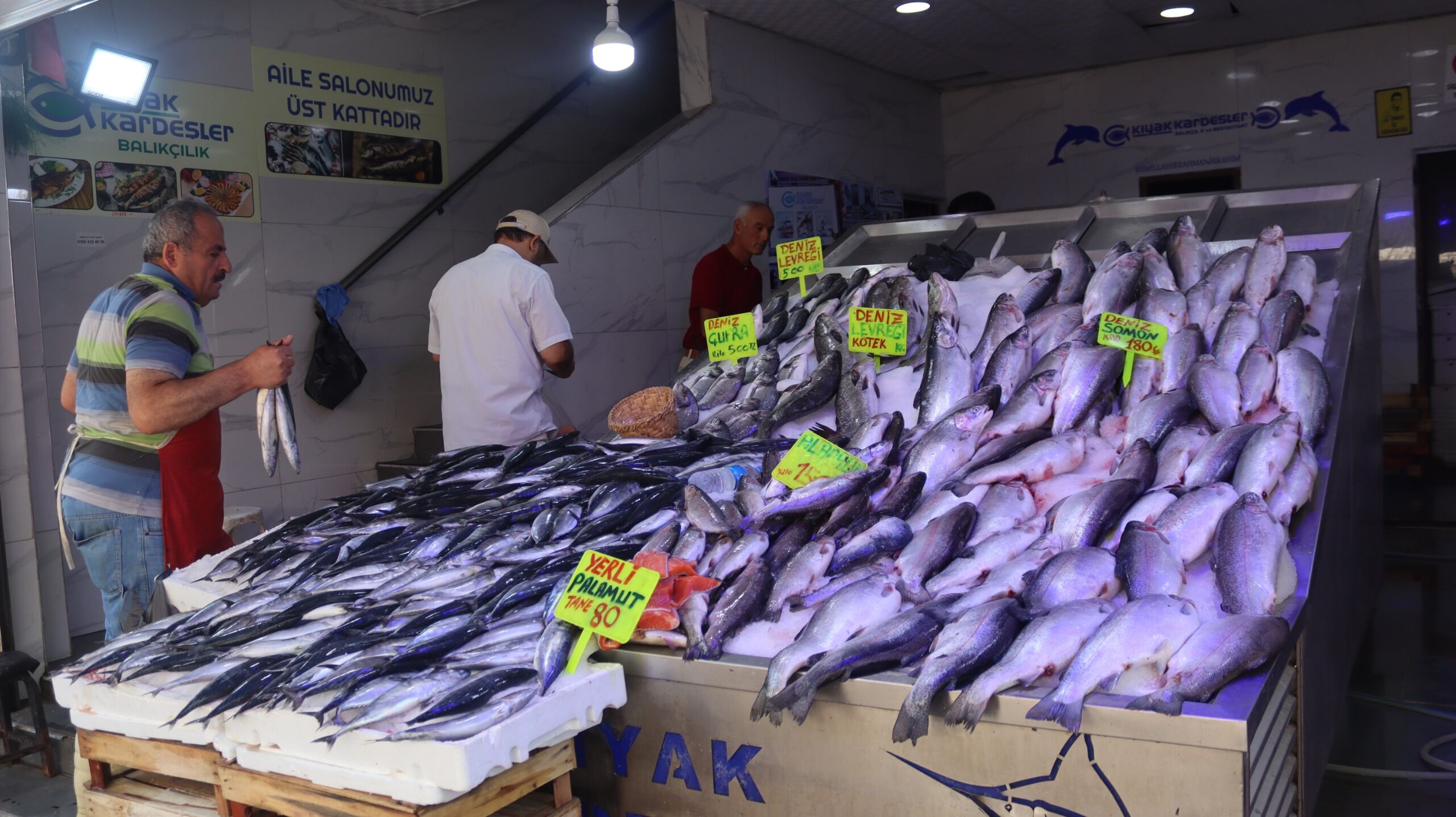 samsun haber: Samsun’da palamut sezonu başladı: Fiyatı 80 liraya kadar düştü!