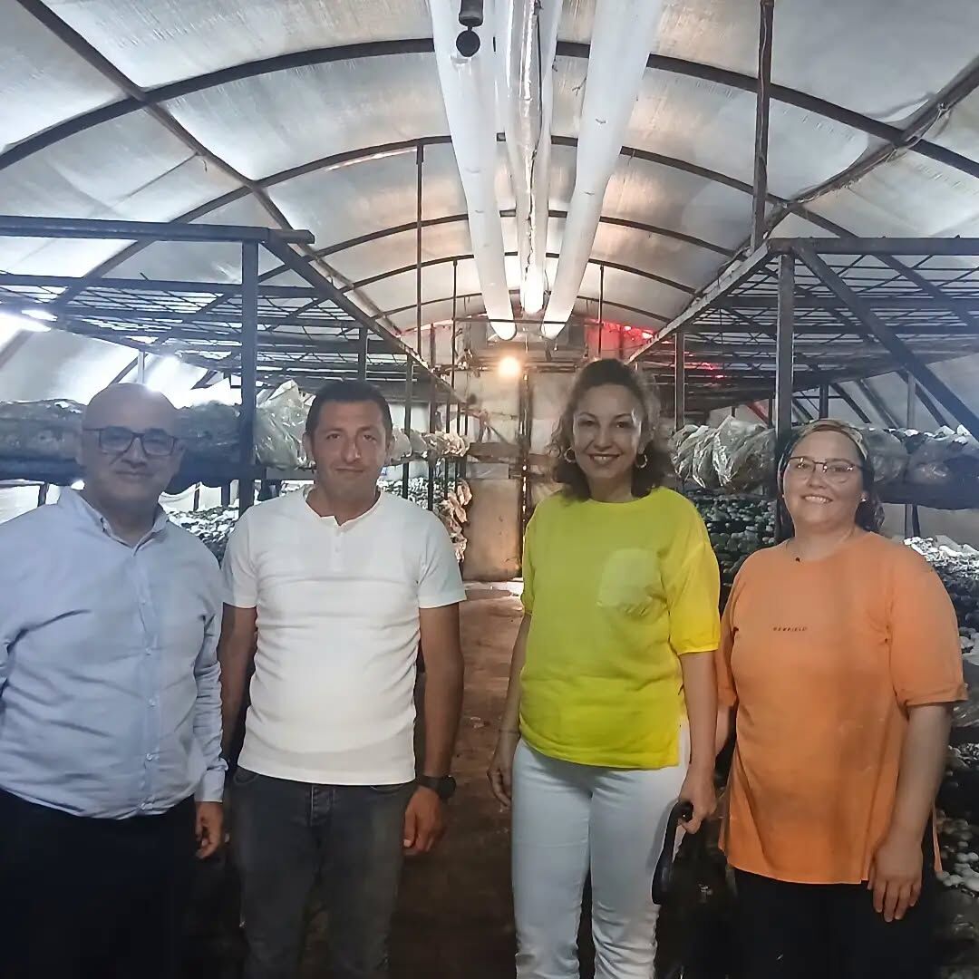 samsun haber: Samsun’da mantar üretimine yakın takip! Ekipler yerinde inceledi