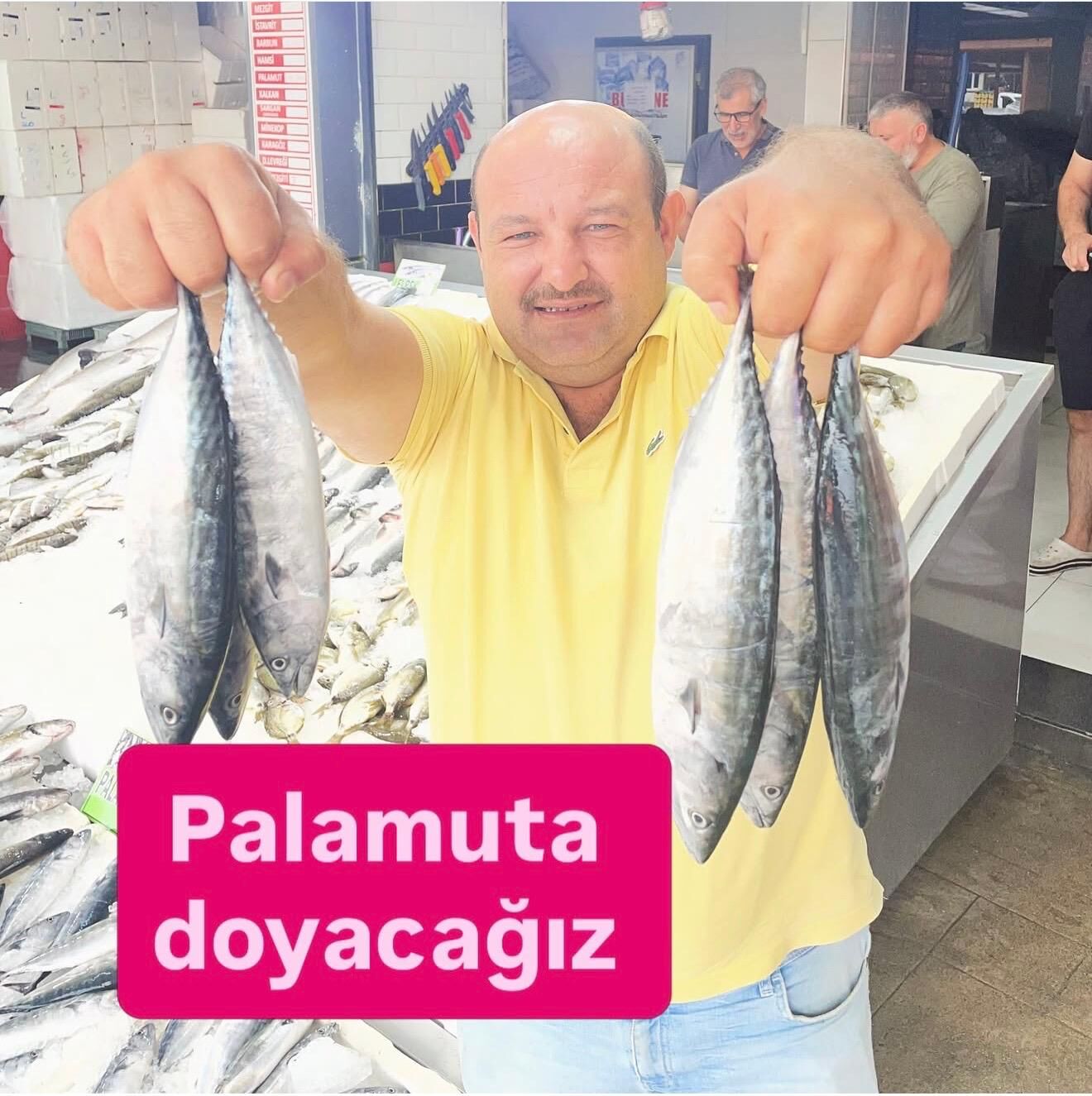 Palamutta bereketli sezon…